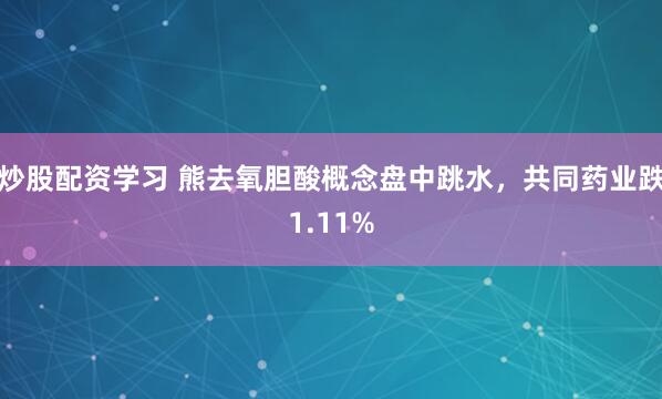 炒股配资学习 熊去氧胆酸概念盘中跳水，共同药业跌1.11%