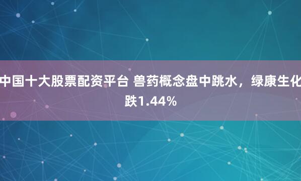 中国十大股票配资平台 兽药概念盘中跳水，绿康生化跌1.44%