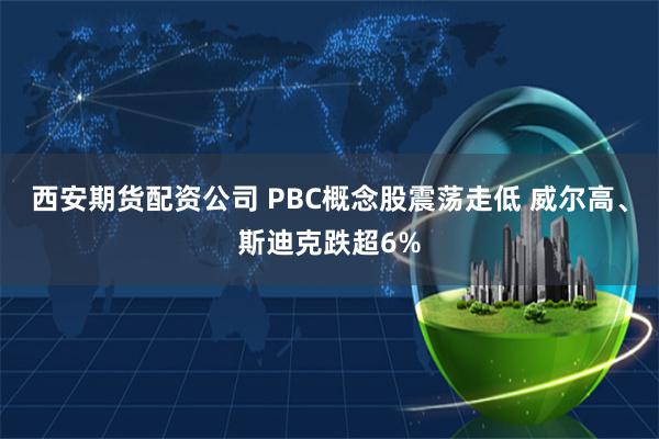 西安期货配资公司 PBC概念股震荡走低 威尔高、斯迪克跌超6%